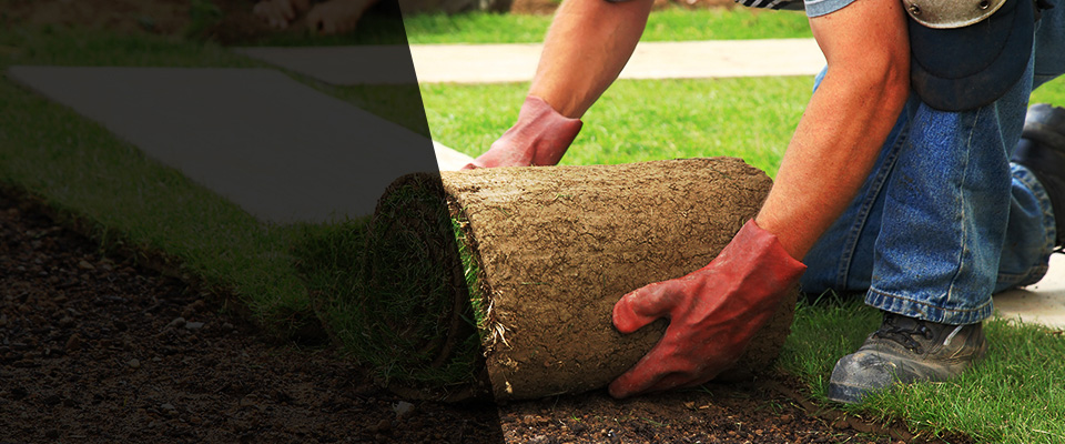 Eutaw Landscapers